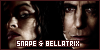  Harry Potter: Severus Snape and Bellatrix Lestrange